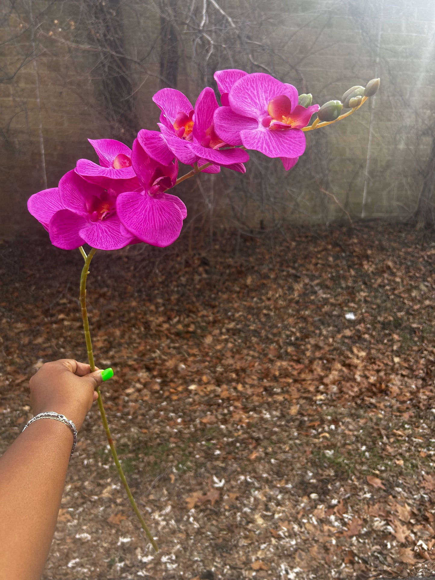 41in, 9-Head Vibrant Long Stem Orchid Flowers