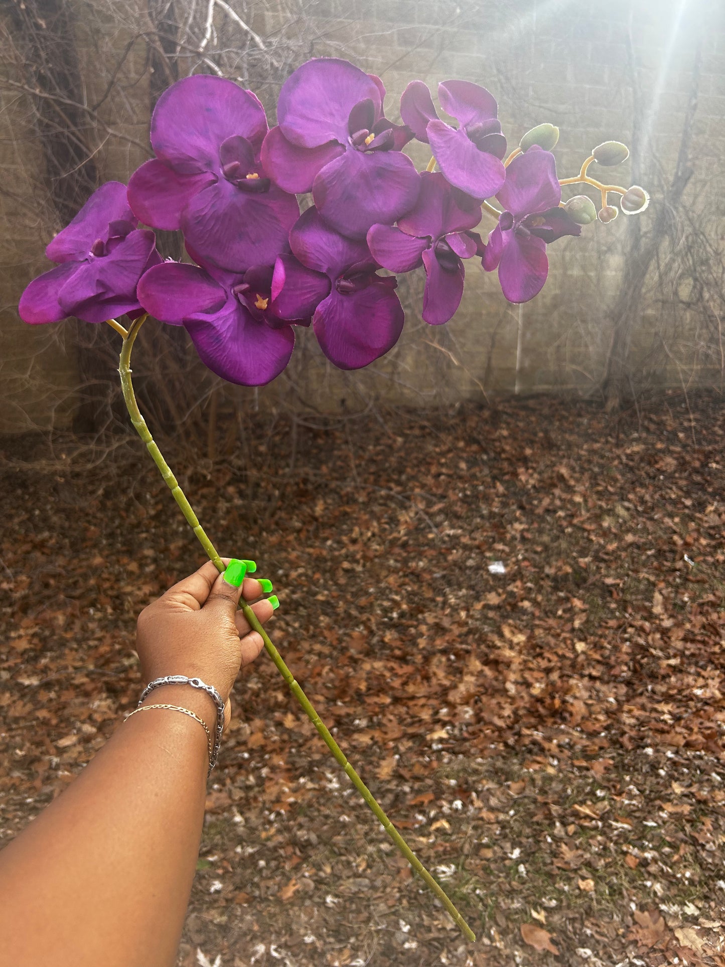 41in, 9-Head Vibrant Long Stem Orchid Flowers