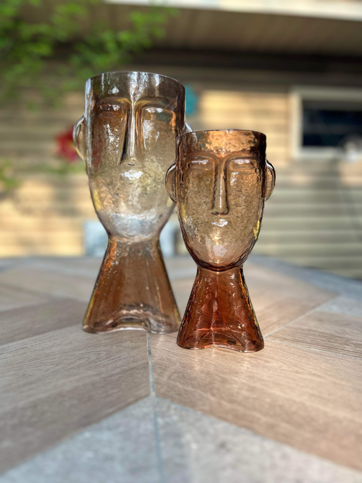 2-Face Modern Glass Vase Set