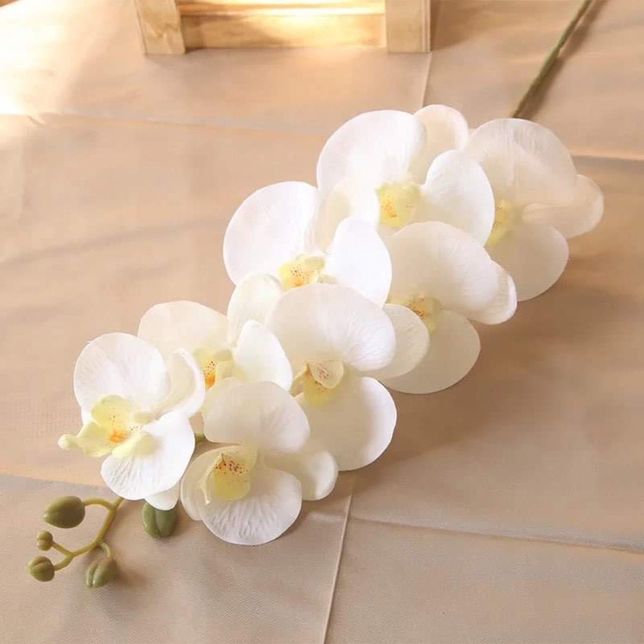 41in, 9-Head Vibrant Long Stem Orchid Flowers
