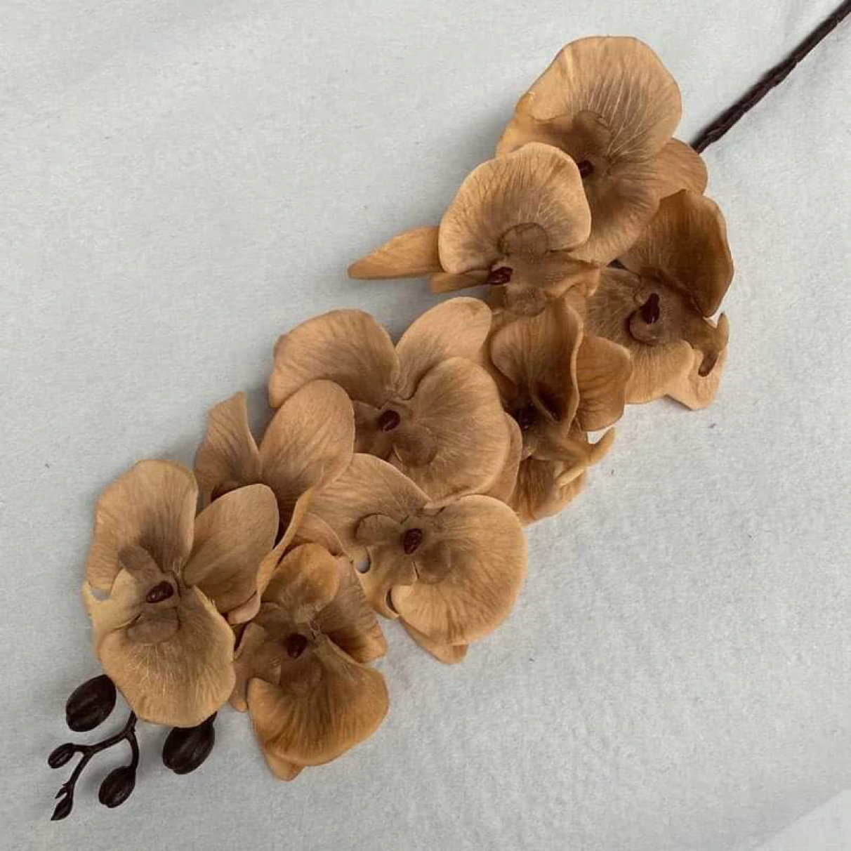 41in, 9-Head Neutral Colored Long Stem Orchid Flowers