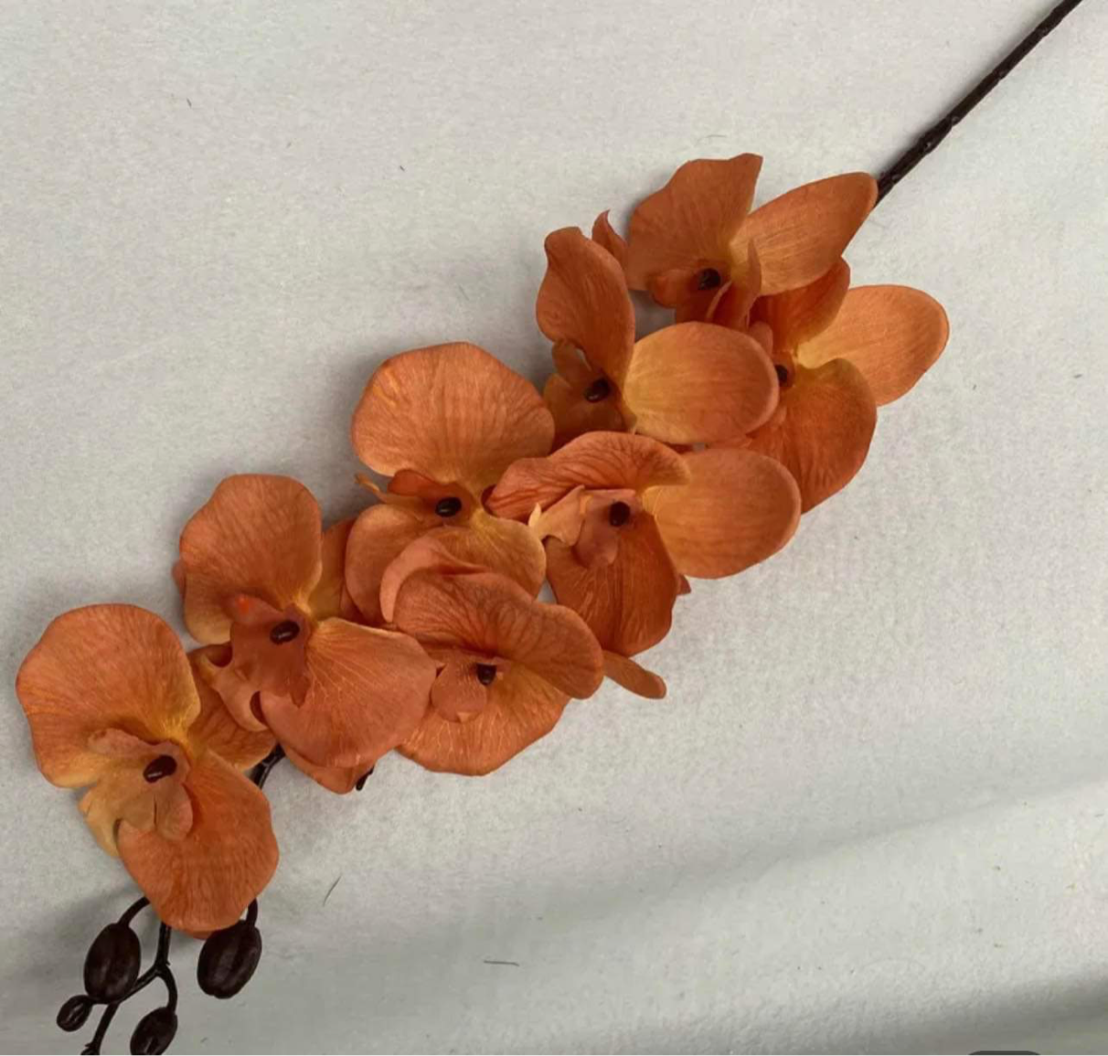 41in, 9-Head Neutral Colored Long Stem Orchid Flowers