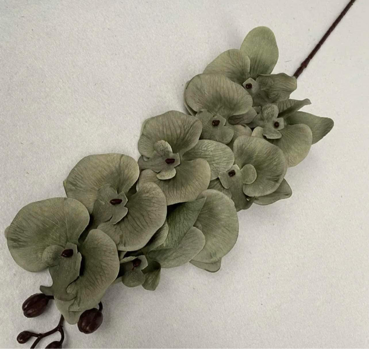 41in, 9-Head Neutral Colored Long Stem Orchid Flowers