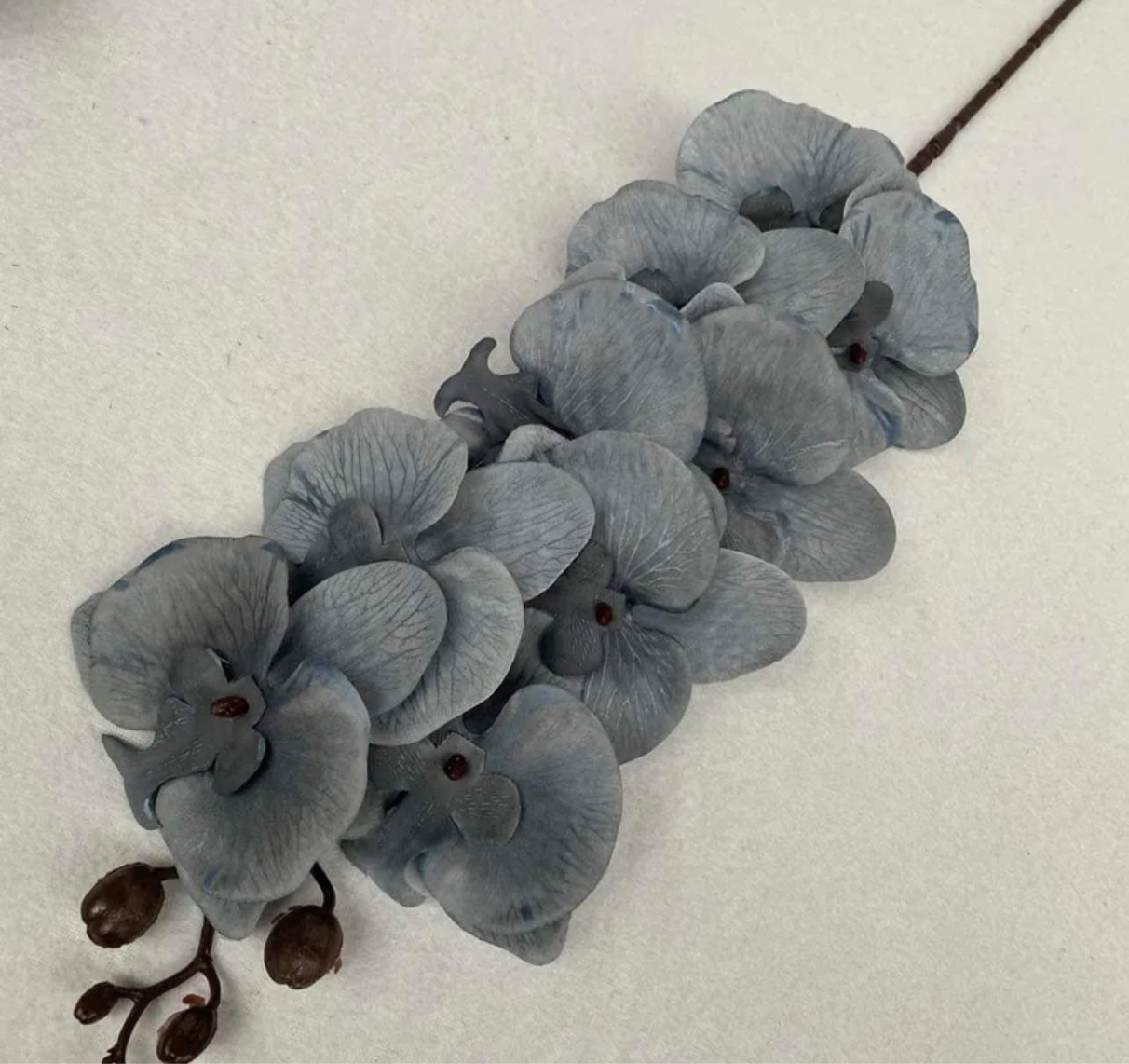 41in, 9-Head Neutral Colored Long Stem Orchid Flowers