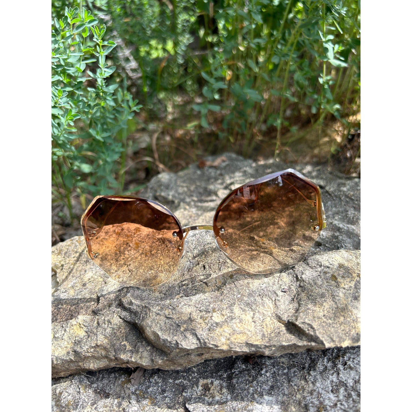 Round Edge Sunglasses