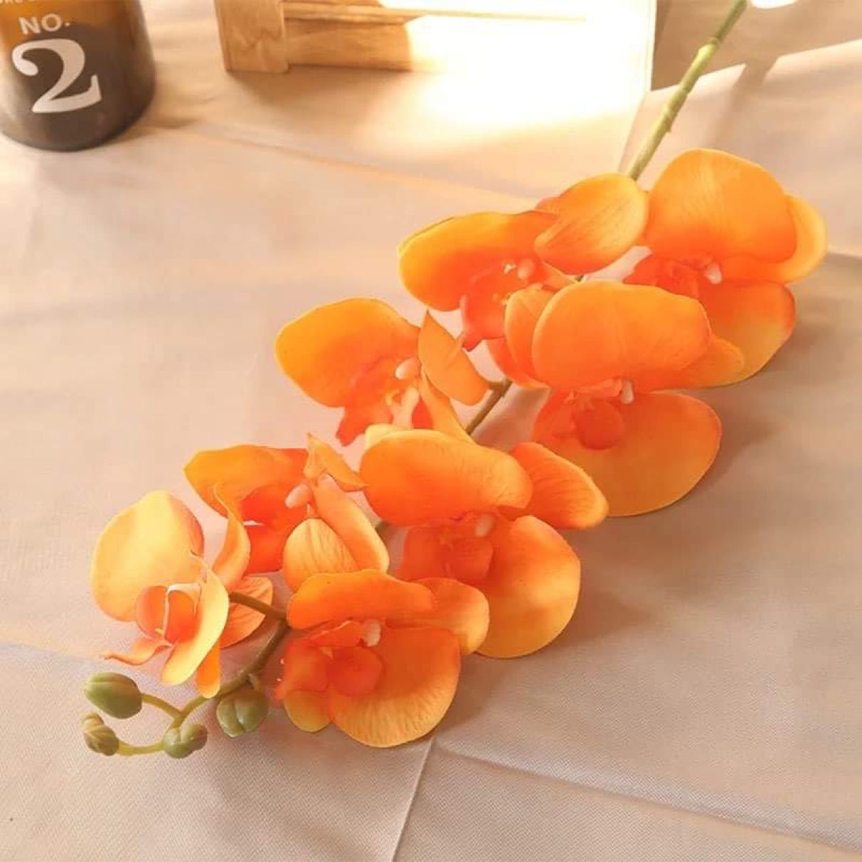 41in, 9-Head Vibrant Long Stem Orchid Flowers