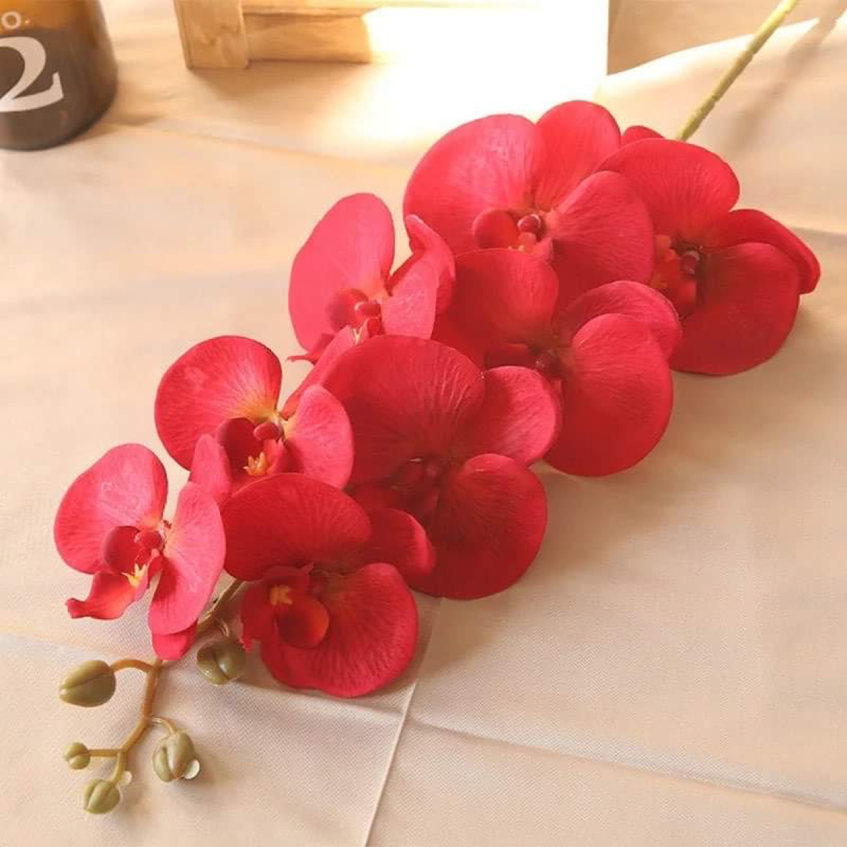 41in, 9-Head Vibrant Long Stem Orchid Flowers