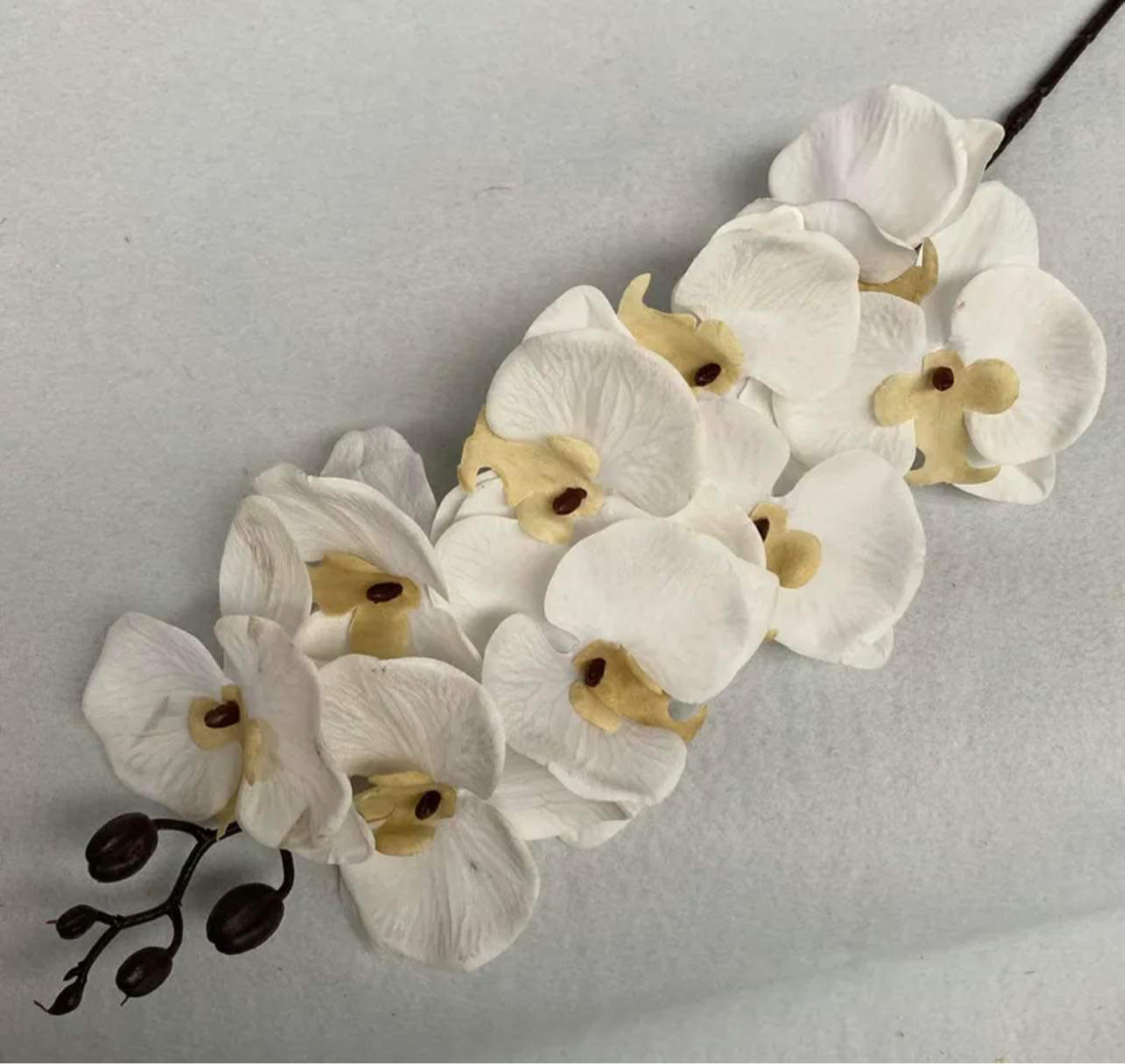41in, 9-Head Neutral Colored Long Stem Orchid Flowers